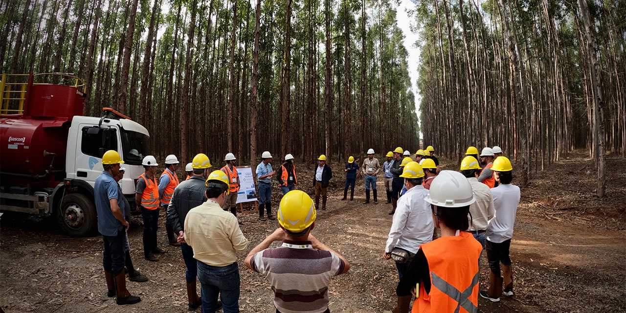 Visita dos convidados à Fazenda Santo Agostinho para conhecerem os processos de combate e prevenção aos incêndios florestais