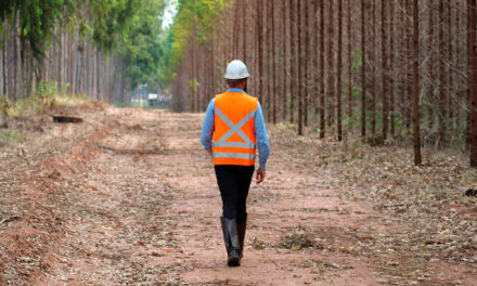 Recorde de queimadas: Eucatex realiza ações preventivas e reforça alerta