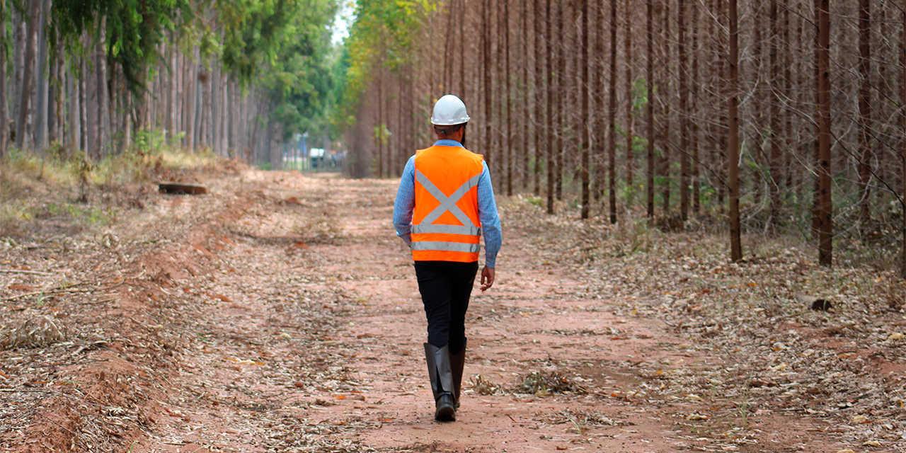 Recorde de queimadas: Eucatex realiza ações preventivas e reforça alerta